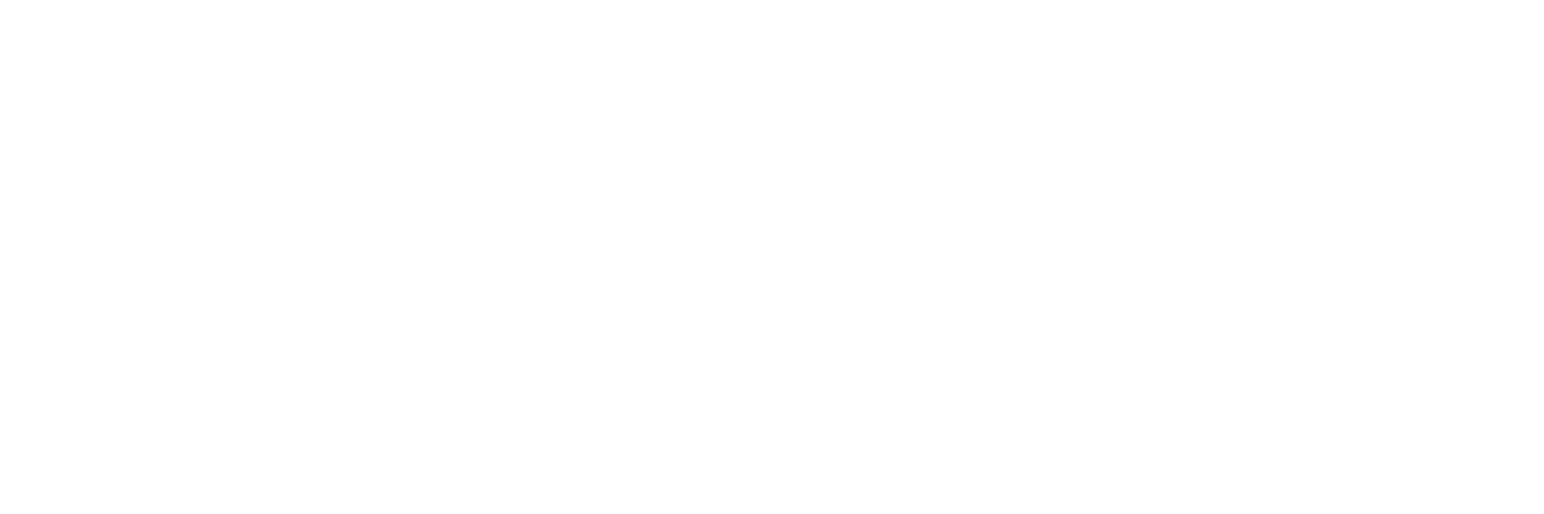 VW City Store